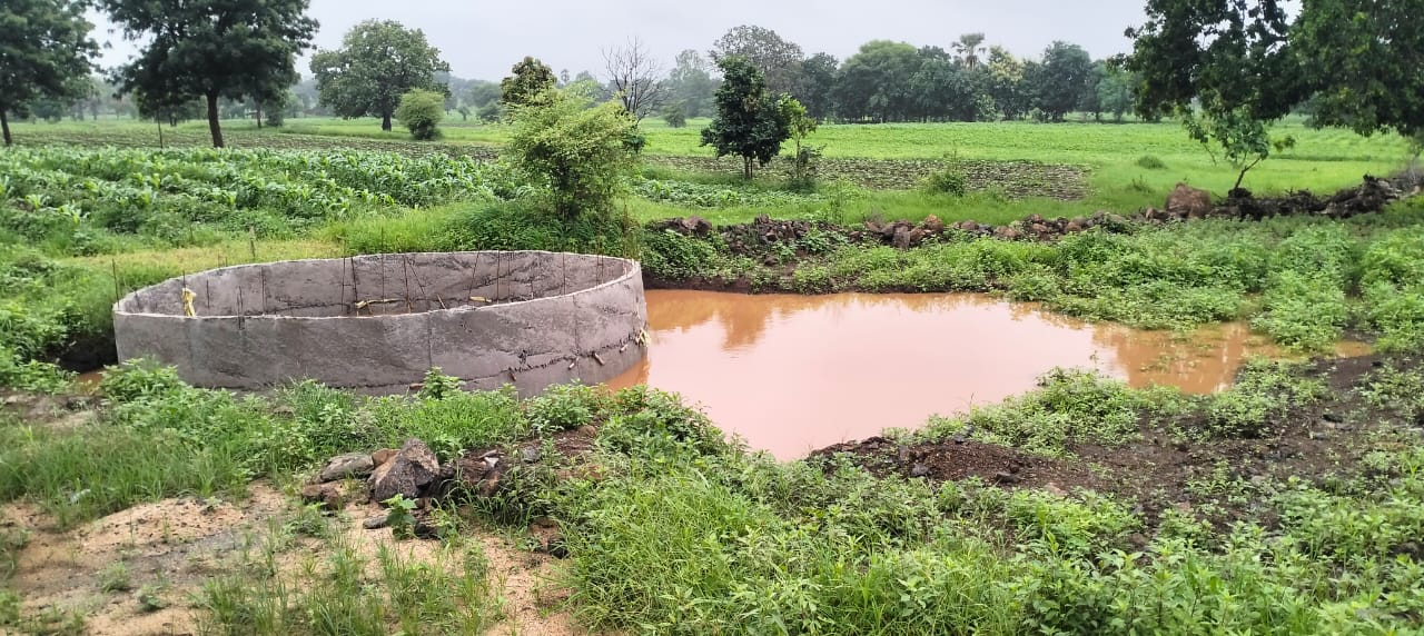 WhatsApp Image 2025-08-03 at 13.16.11